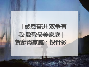 感恩奋进 双争有我·致敬最美家庭｜贺彦霞家庭：银针彩线绣出好日子