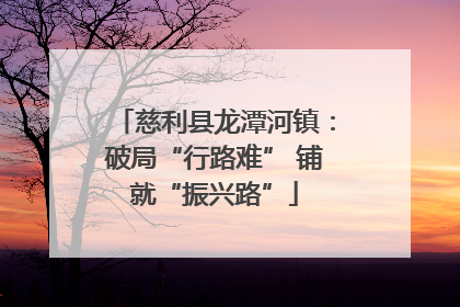 慈利县龙潭河镇：破局“行路难” 铺就“振兴路”