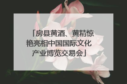 房县黄酒、黄精惊艳亮相中国国际文化产业博览交易会