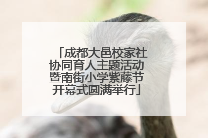 成都大邑校家社协同育人主题活动暨南街小学紫藤节开幕式圆满举行