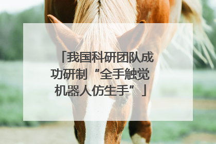 我国科研团队成功研制“全手触觉机器人仿生手”
