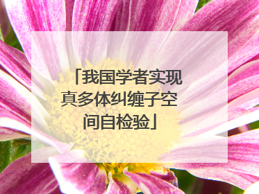 我国学者实现真多体纠缠子空间自检验