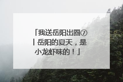 我送岳阳出圈⑦丨岳阳的夏天，是小龙虾味的！