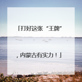 打好这张“王牌”，内蒙古有实力！