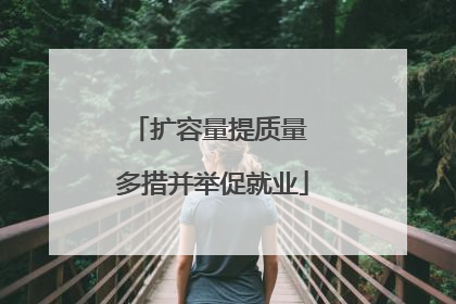 扩容量提质量 多措并举促就业