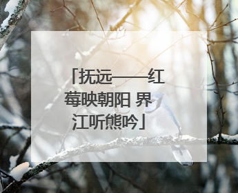 抚远——红莓映朝阳 界江听熊吟