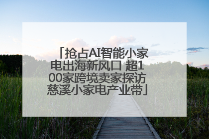 抢占AI智能小家电出海新风口 超100家跨境卖家探访慈溪小家电产业带