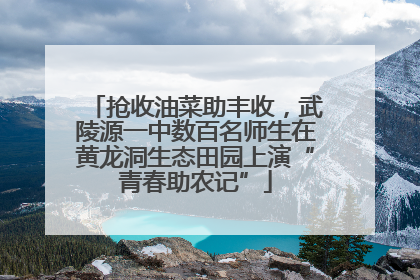 抢收油菜助丰收，武陵源一中数百名师生在黄龙洞生态田园上演“青春助农记”