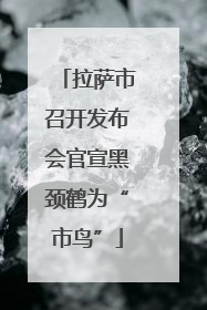 拉萨市召开发布会官宣黑颈鹤为“市鸟”