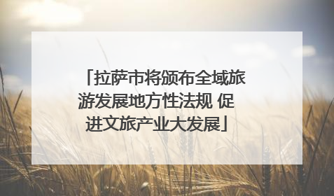 拉萨市将颁布全域旅游发展地方性法规 促进文旅产业大发展