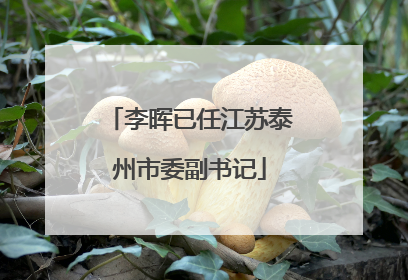 李晖已任江苏泰州市委副书记