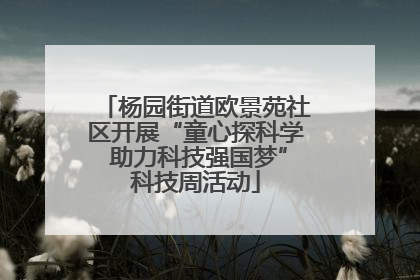 杨园街道欧景苑社区开展“童心探科学 助力科技强国梦”科技周活动