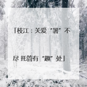 枝江：关爱“暑”不尽 托管有“趣”处