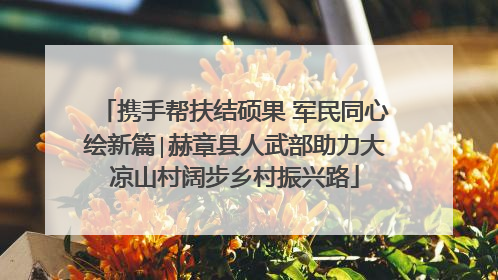 携手帮扶结硕果 军民同心绘新篇∣赫章县人武部助力大凉山村阔步乡村振兴路