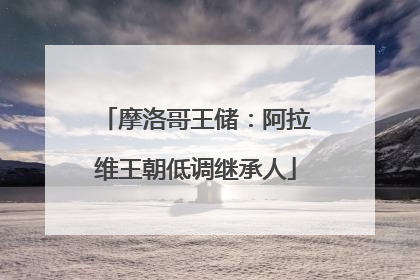 摩洛哥王储：阿拉维王朝低调继承人