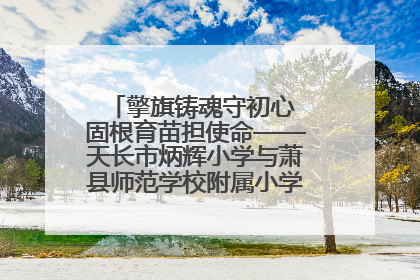 擎旗铸魂守初心 固根育苗担使命——天长市炳辉小学与萧县师范学校附属小学结对共建活动纪实