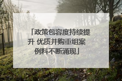 政策包容度持续提升 优质并购重组案例料不断涌现