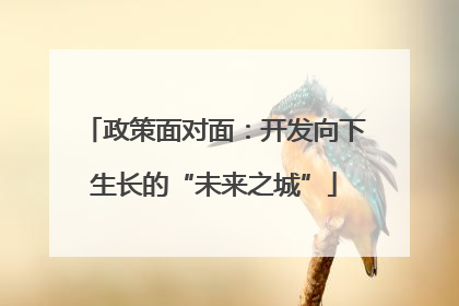 政策面对面：开发向下生长的“未来之城”