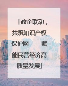 政企联动，共筑知识产权保护网——赋能民营经济高质量发展
