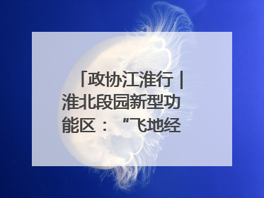 政协江淮行｜淮北段园新型功能区：“飞地经济”拔节生长