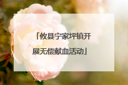 攸县宁家坪镇开展无偿献血活动