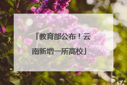 教育部公布！云南新增一所高校