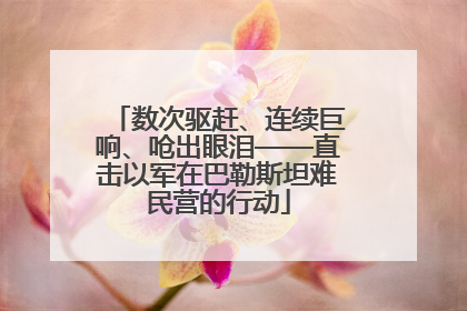 数次驱赶、连续巨响、呛出眼泪——直击以军在巴勒斯坦难民营的行动