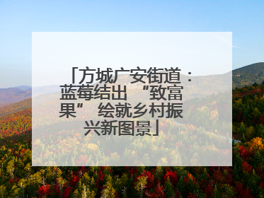 方城广安街道：蓝莓结出 “致富果” 绘就乡村振兴新图景