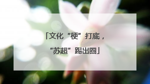 文化“梗”打底，“苏超”踢出圈