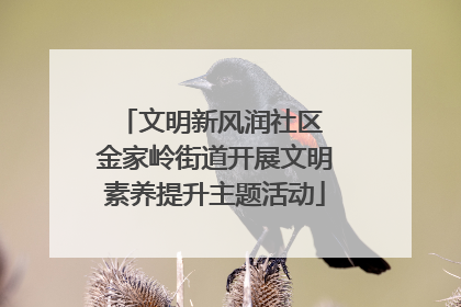 文明新风润社区 金家岭街道开展文明素养提升主题活动