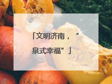 文明济南，“泉式幸福”