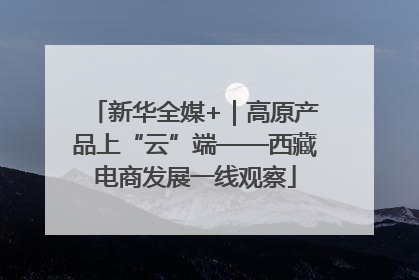 新华全媒+｜高原产品上“云”端——西藏电商发展一线观察