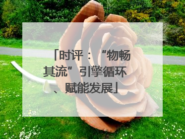时评：“物畅其流”引擎循环、赋能发展