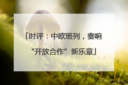 时评：中欧班列，奏响“开放合作”新乐章