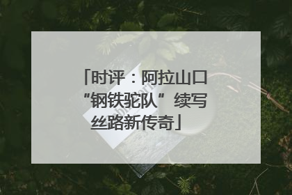 时评：阿拉山口“钢铁驼队”续写丝路新传奇