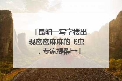 昆明一写字楼出现密密麻麻的飞虫，专家提醒→