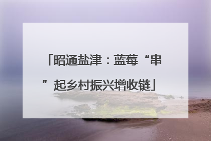 昭通盐津：蓝莓“串”起乡村振兴增收链