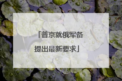 普京就俄军备提出最新要求