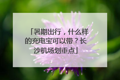 暑期出行，什么样的充电宝可以带？长沙机场划重点