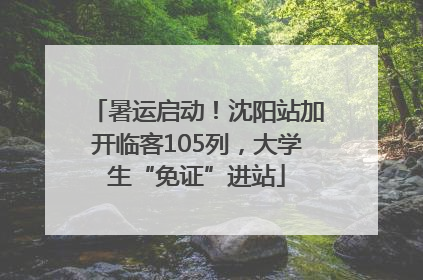 暑运启动！沈阳站加开临客105列，大学生“免证”进站