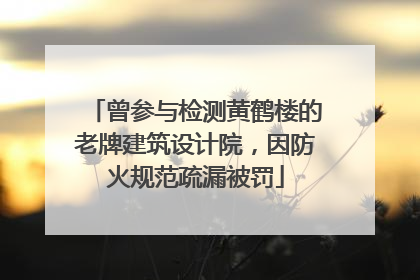 曾参与检测黄鹤楼的老牌建筑设计院，因防火规范疏漏被罚