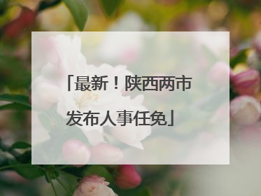 最新！陕西两市发布人事任免