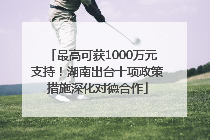 最高可获1000万元支持！湖南出台十项政策措施深化对德合作