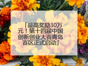 最高奖励30万元！第十四届中国创新创业大赛青岛赛区正式启动