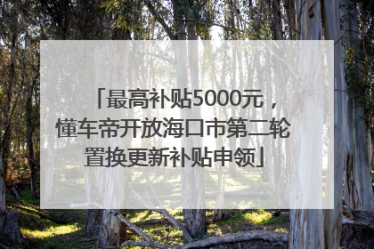 最高补贴5000元，懂车帝开放海口市第二轮置换更新补贴申领