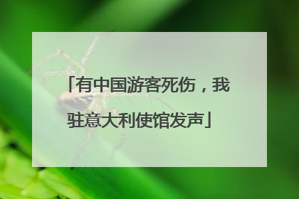 有中国游客死伤，我驻意大利使馆发声