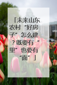 未来山东农村“好房子”怎么建？既要有“里”也要有“面”