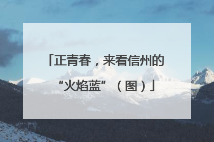 正青春，来看信州的“火焰蓝”（图）