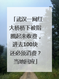 武汉一网红大桥桥下被指圈起来收费，进去100块还必须消费？当地回应