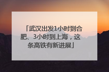 武汉出发1小时到合肥、3小时到上海，这条高铁有新进展